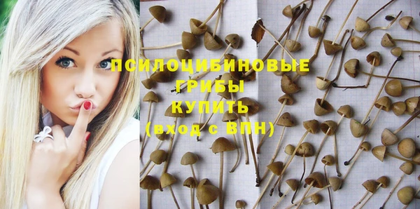 герыч Алексеевка