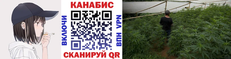 дарнет шоп  Камбарка  Марихуана сатива 
